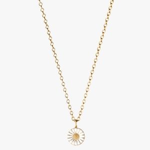 Vintage Georg Jensen Daisy Pendant